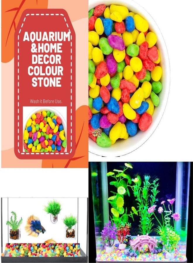 VAYINATO® Decorative Mixed Peables Colour Stone for Aquarium Fish Tank and Indoor Home Decoration and Garden Decor (1 Kg Pack) by Petzlifeworld - Image 3